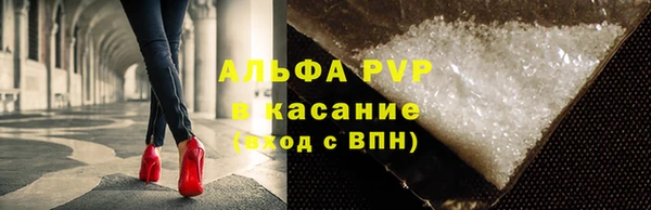 PSILOCYBIN Зерноград