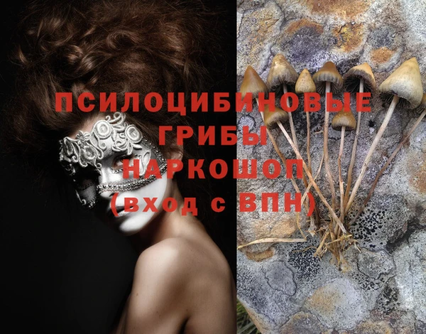 PSILOCYBIN Зерноград
