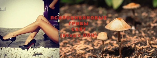 PSILOCYBIN Зерноград