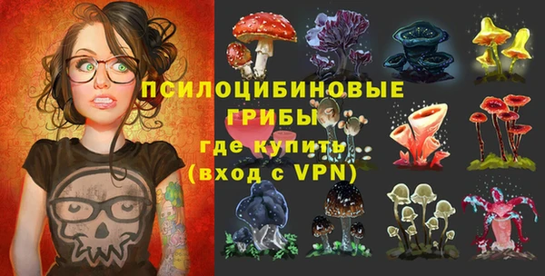 PSILOCYBIN Зерноград