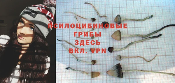 не бодяженный Зеленодольск
