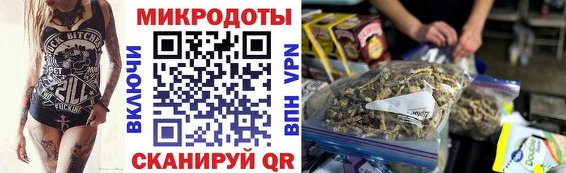 Купить закладки  Волхов  Галлюциногенные грибы Magic Shrooms 