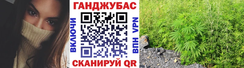 Купить закладки  Волхов  Бошки марихуана план 